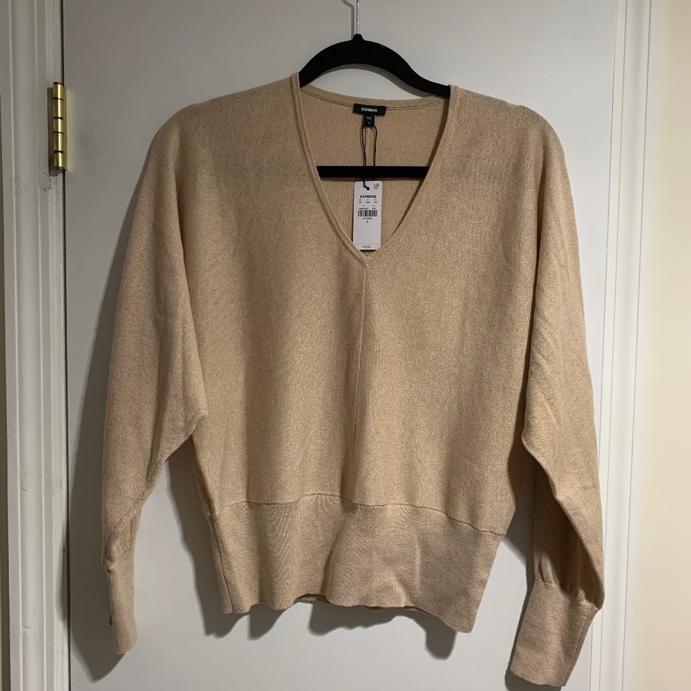 NWT Express V Neck banded bottom sweater Size Small Tan